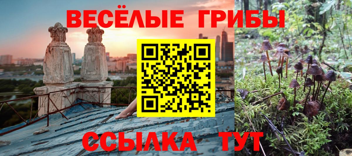 Псилоцибиновые грибы Magic Shrooms Уварово