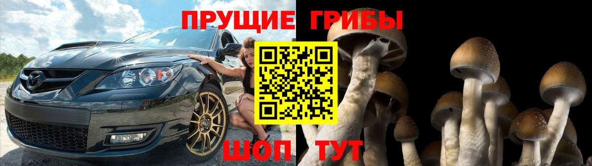Галлюциногенные грибы Cubensis  Вход с VPN  Уварово 